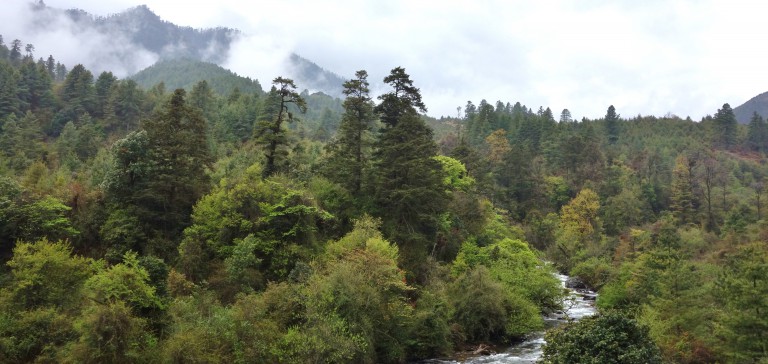 Klimavorbild Bhutan